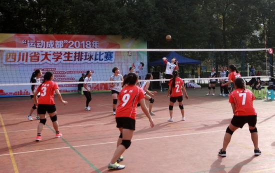 mmexport1540965748506(1).jpg