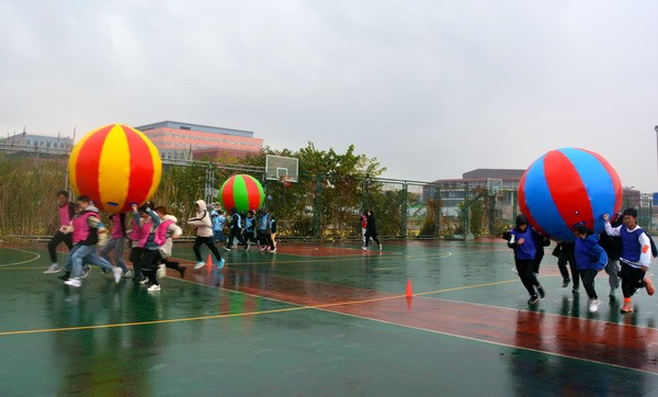 1606886521111.jpg 1606886521111.jpg
